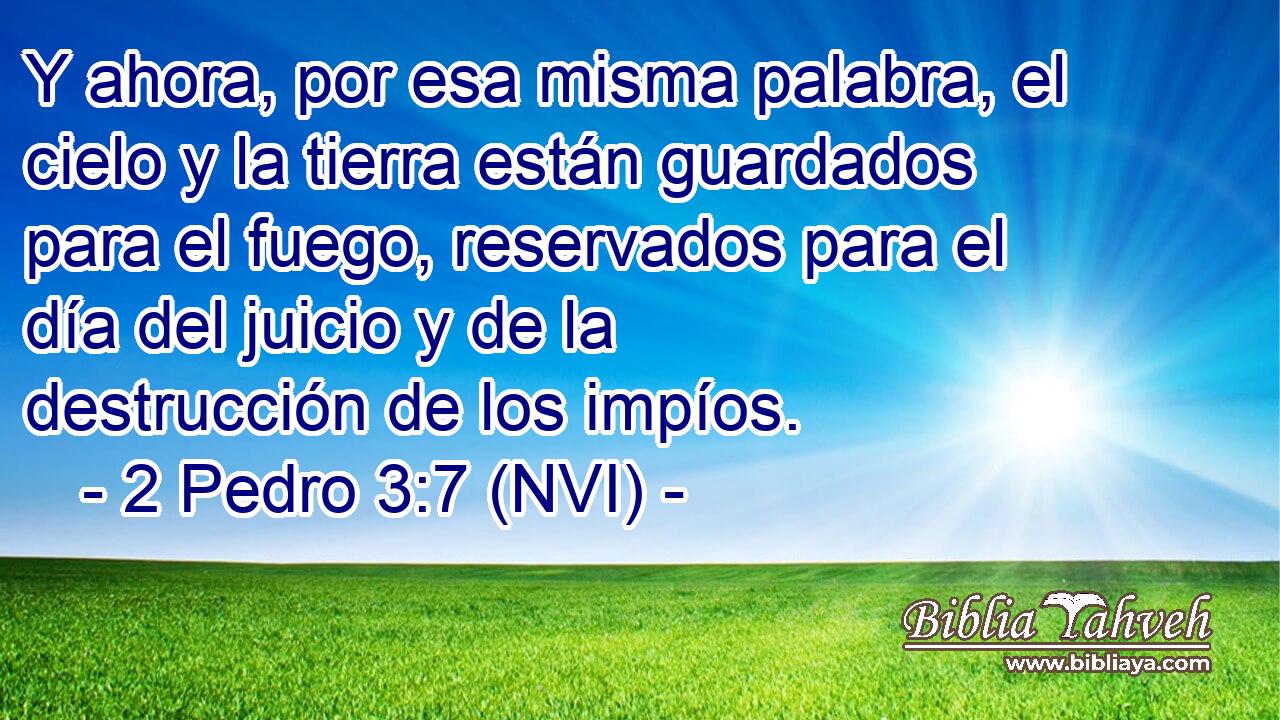  Y ahora, por esa misma palabra, el cielo y la tierra están guardados para el fuego, reservados para el día del juicio y de la destrucción de los impíos. 