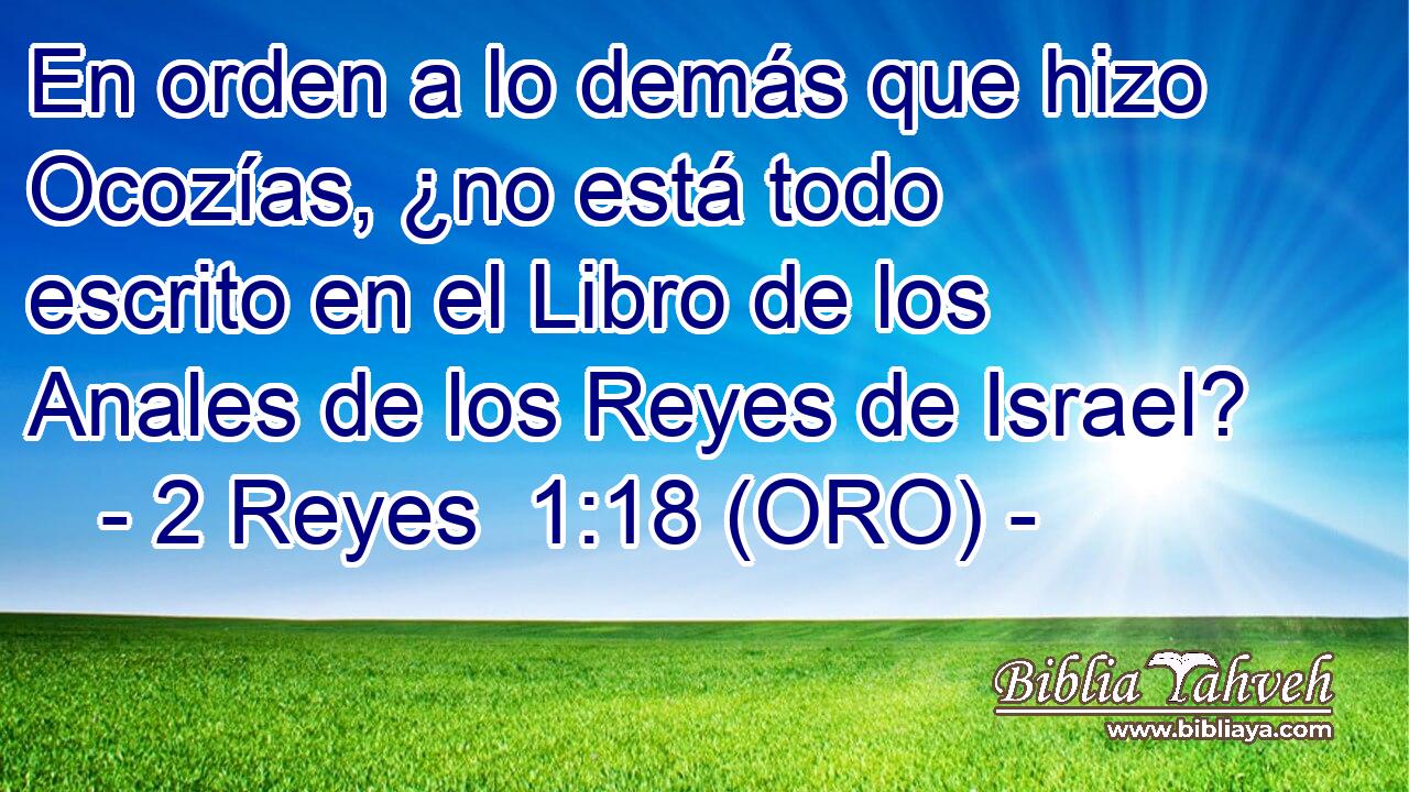  En orden a lo demás que hizo Ocozías, ¿no está todo escrito en el Libro de los Anales de los Reyes de Israel? 