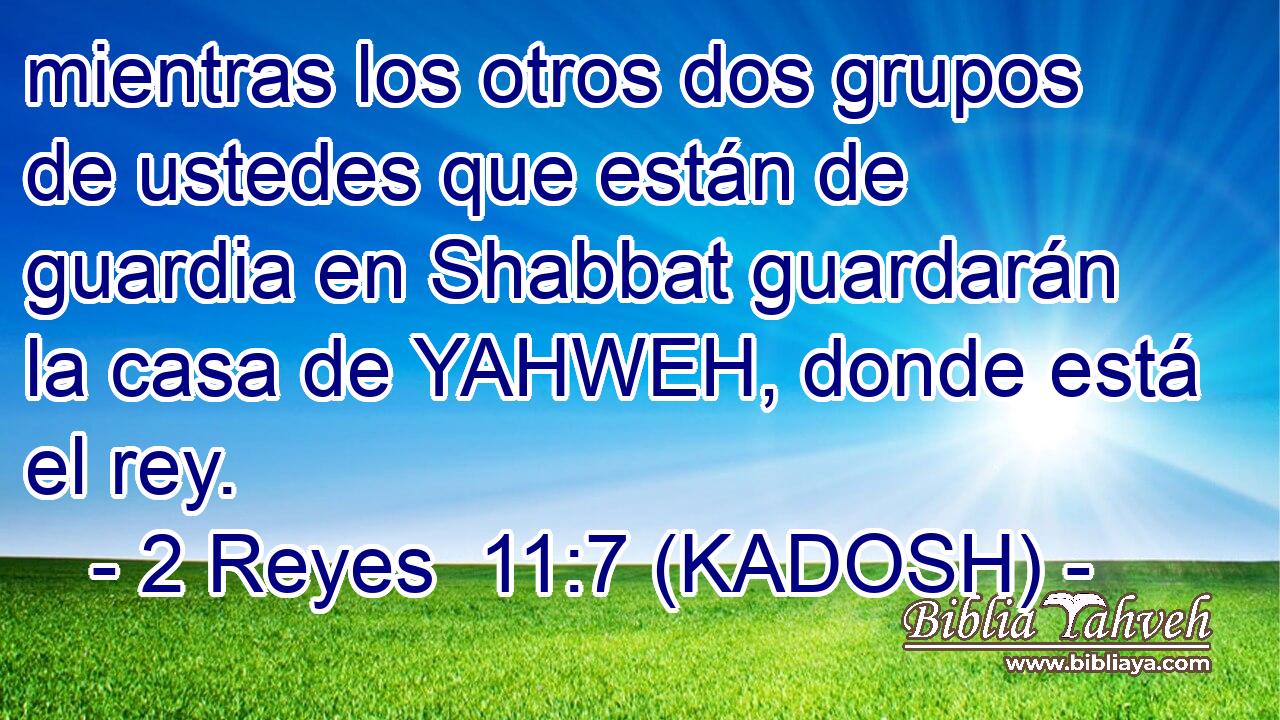  mientras los otros dos grupos de ustedes que están de guardia en Shabbat guardarán la casa de YAHWEH, donde está el rey. 