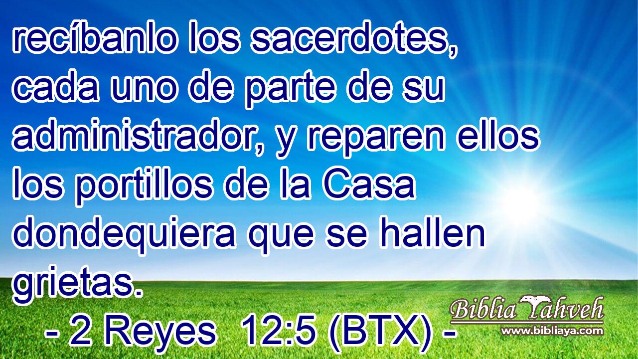 recíbanlo los sacerdotes, cada uno de parte de su administrador, y reparen ellos los portillos de la Casa dondequiera que se hallen grietas.
