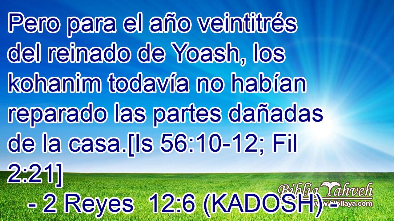  Pero para el año veintitrés del reinado de Yoash, los kohanim todavía no habían reparado las partes dañadas de la casa.[Is 56:10-12; Fil 2:21] 
