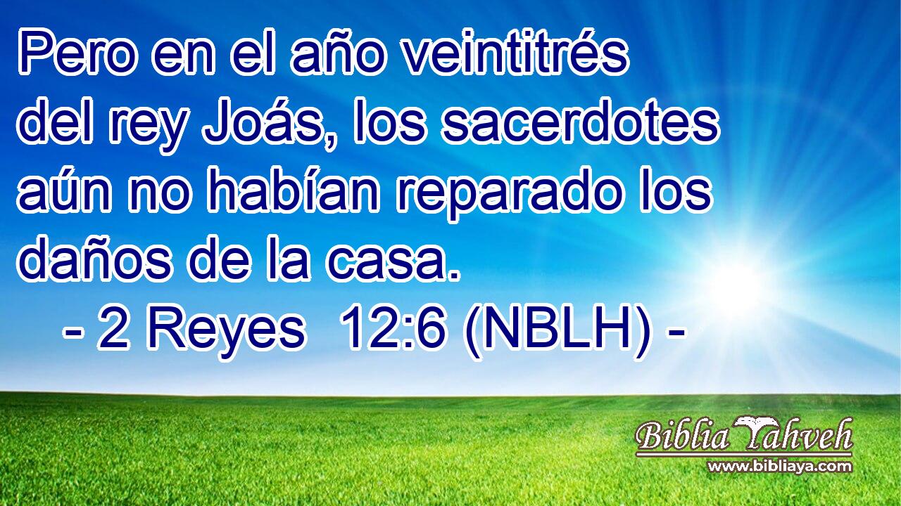  Pero en el año veintitrés del rey Joás, los sacerdotes aún no habían reparado los daños de la casa. 