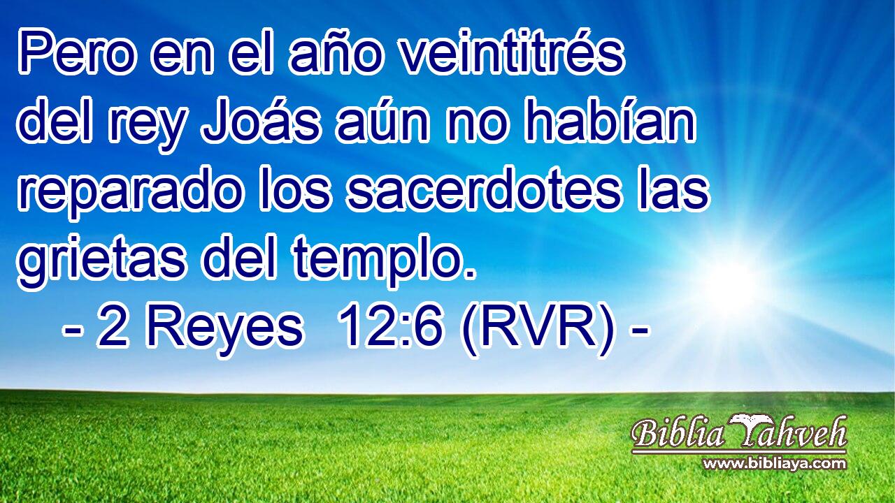 Pero en el año veintitrés del rey Joás aún no habían reparado los sacerdotes las grietas del templo.