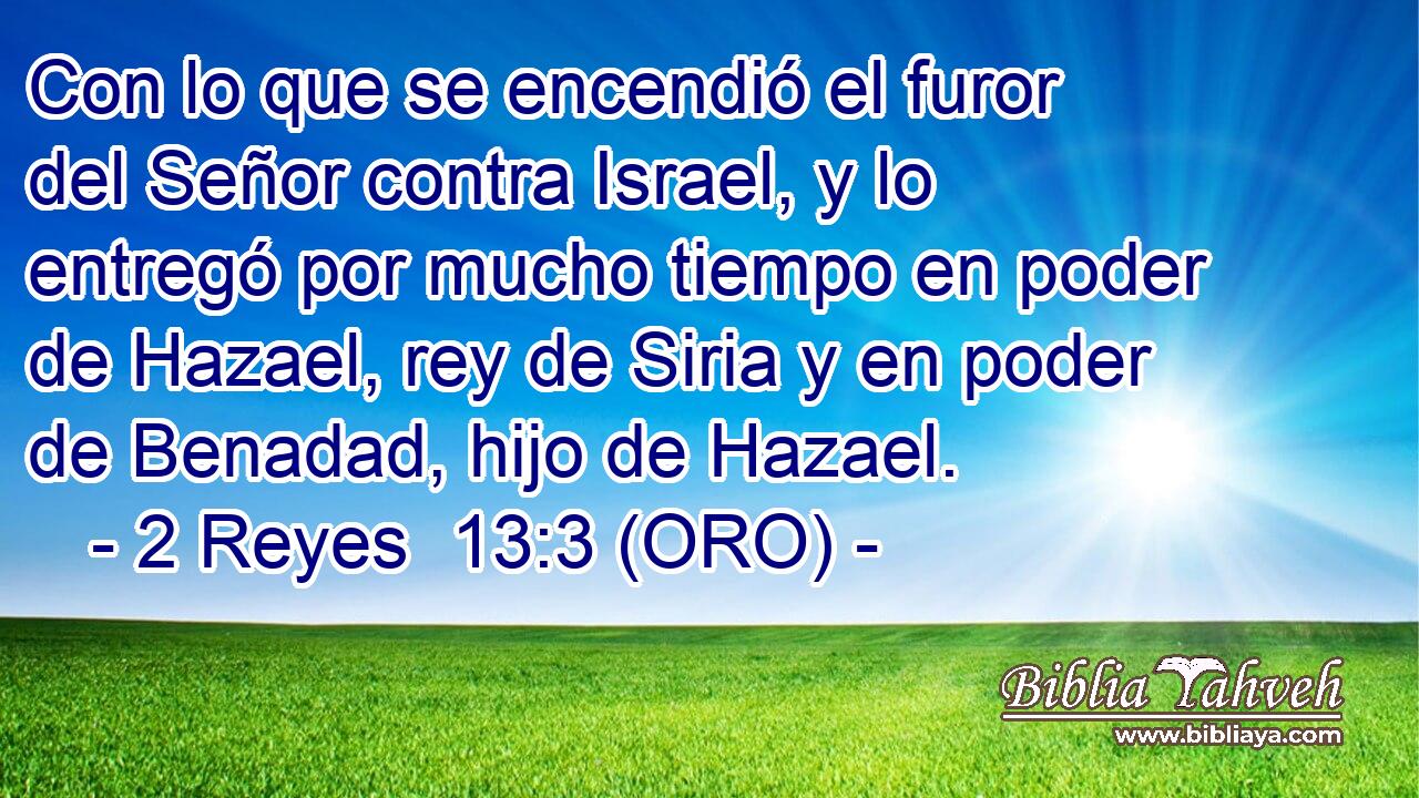  Con lo que se encendió el furor del Señor contra Israel, y lo entregó por mucho tiempo en poder de Hazael, rey de Siria y en poder de Benadad, hijo de Hazael. 