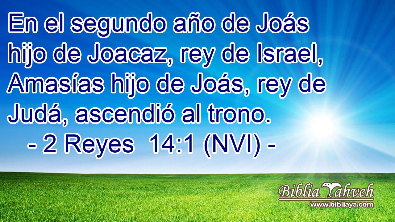  En el segundo año de Joás hijo de Joacaz, rey de Israel, Amasías hijo de Joás, rey de Judá, ascendió al trono. 
