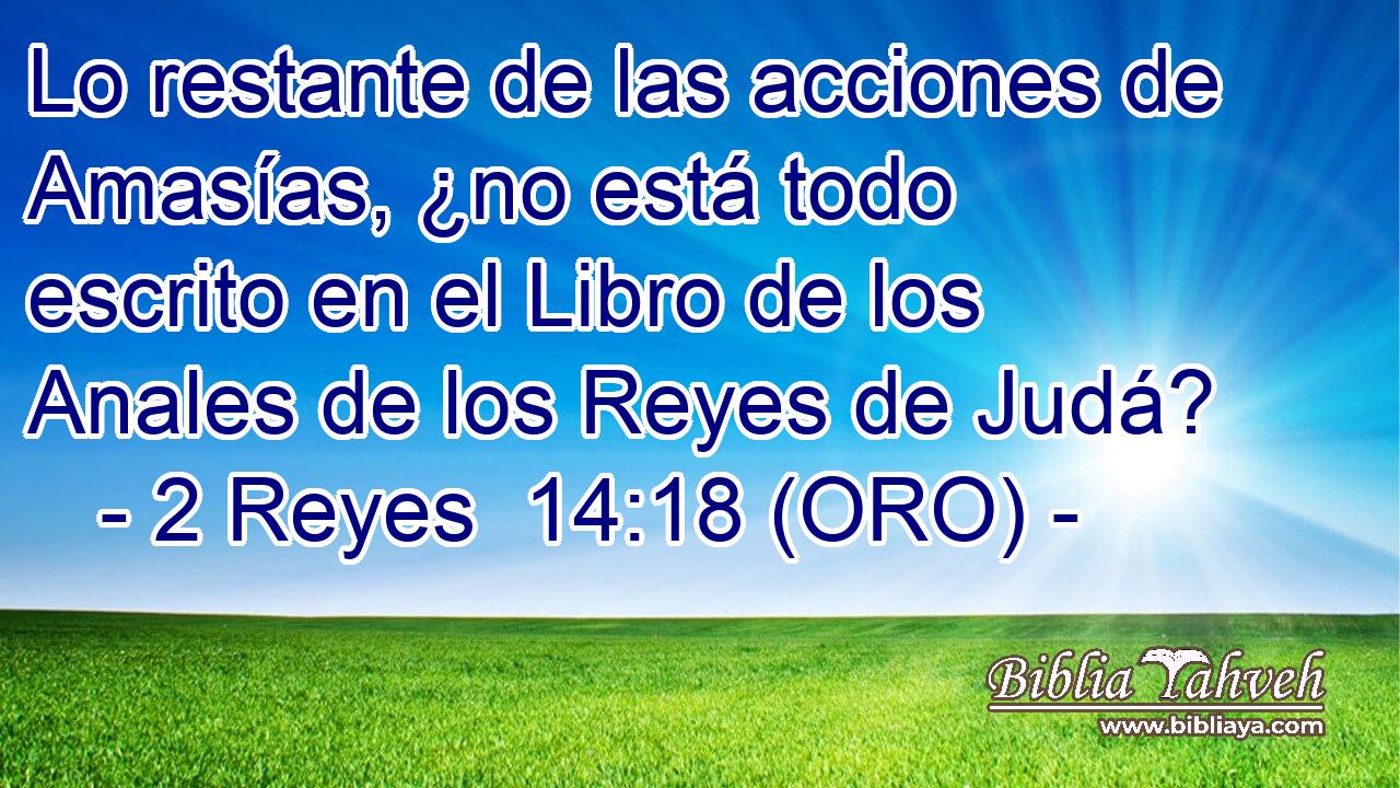  Lo restante de las acciones de Amasías, ¿no está todo escrito en el Libro de los Anales de los Reyes de Judá? 