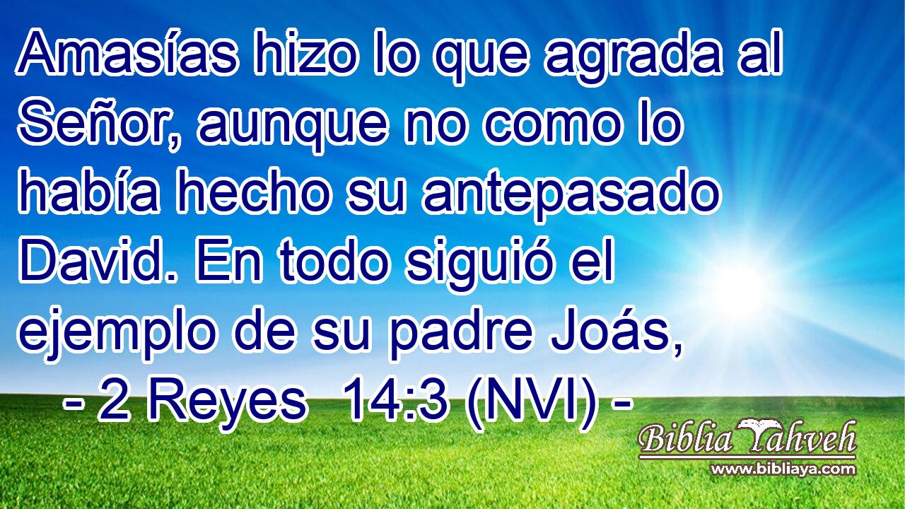  Amasías hizo lo que agrada al Señor, aunque no como lo había hecho su antepasado David. En todo siguió el ejemplo de su padre Joás, 