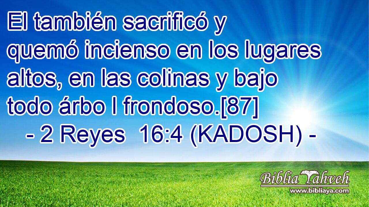  El también sacrificó y quemó incienso en los lugares altos, en las colinas y bajo todo árbo l frondoso.[87] 