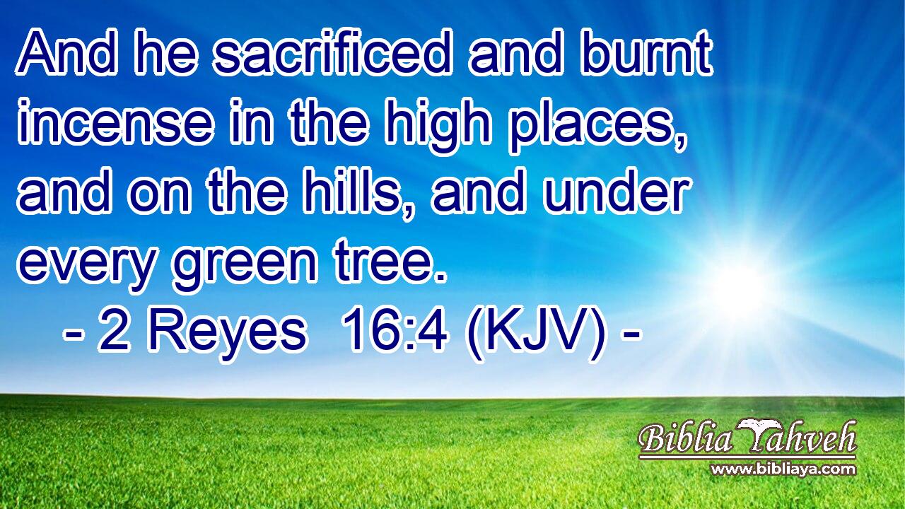 And he sacrificed and burnt incense in the high places, and on the hills, and under every green tree.