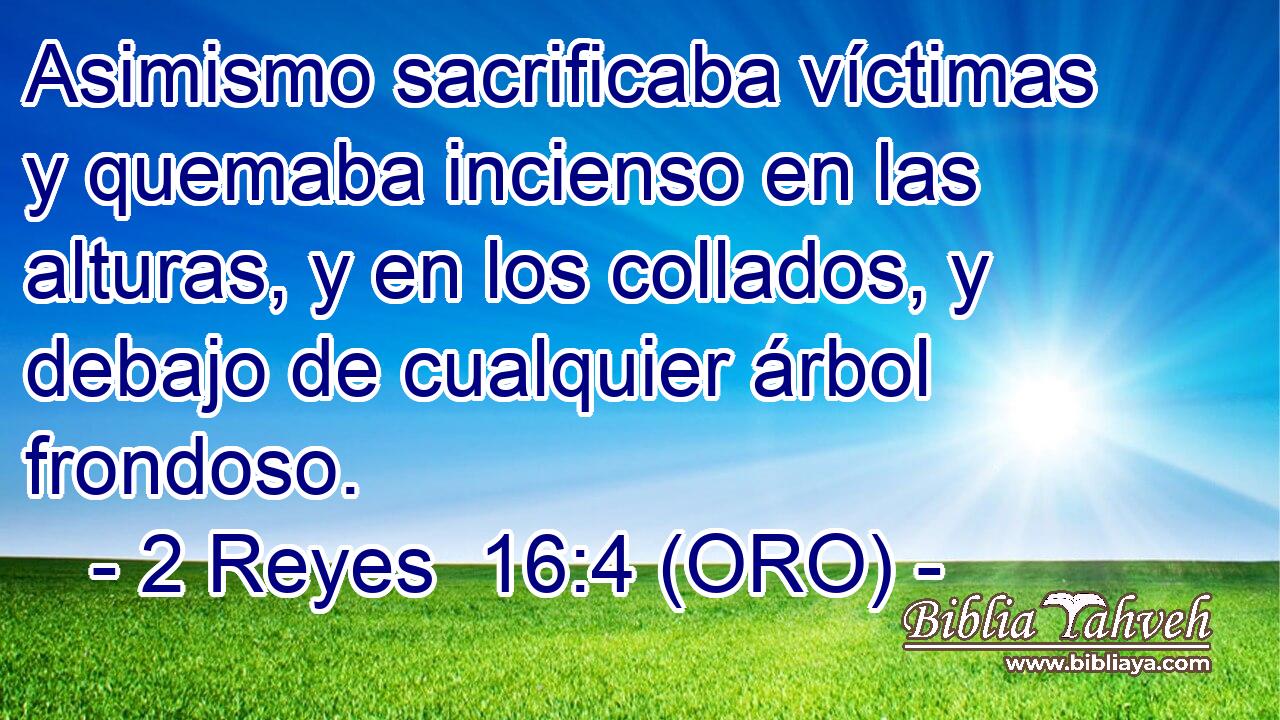  Asimismo sacrificaba víctimas y quemaba incienso en las alturas, y en los collados, y debajo de cualquier árbol frondoso. 
