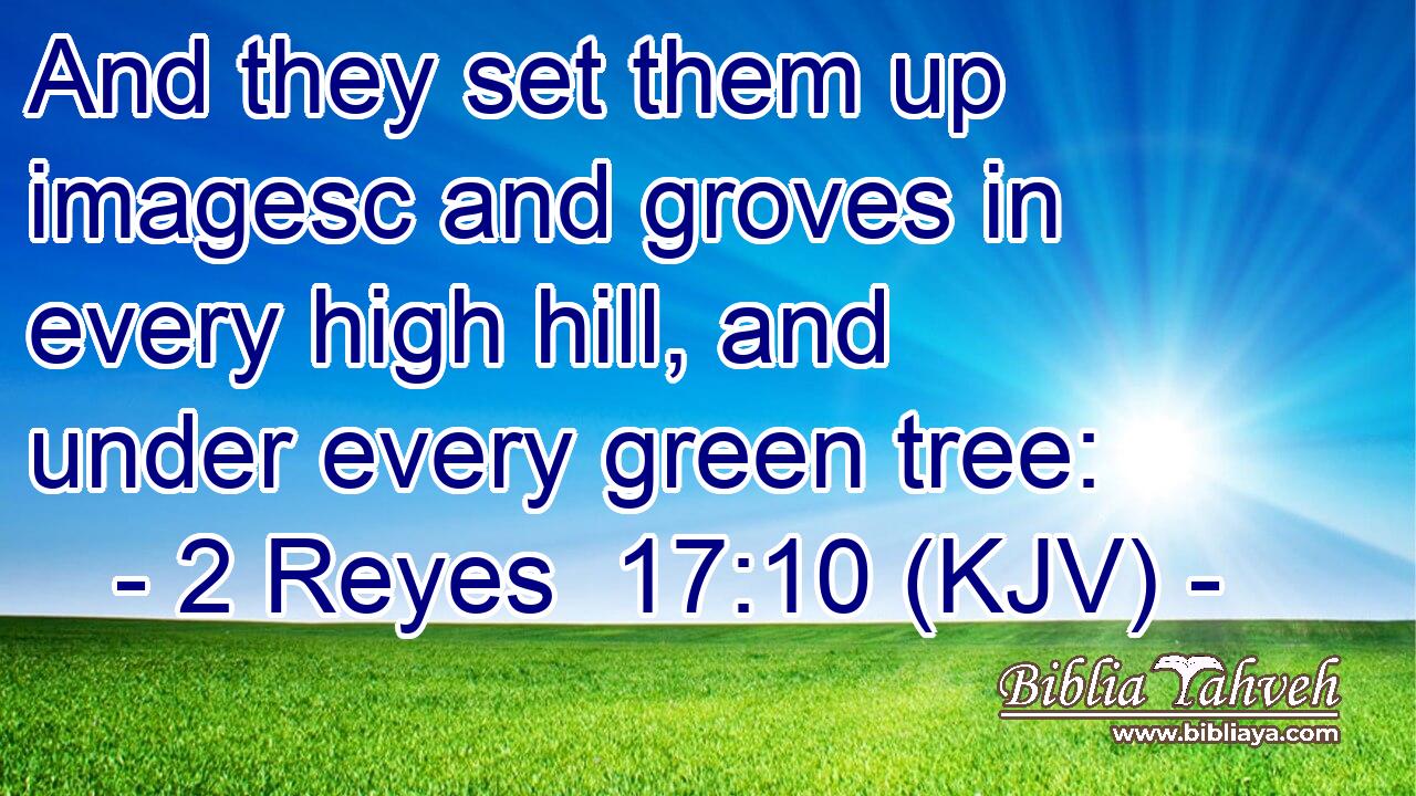 And they set them up imagesc and groves in every high hill, and under every green tree: