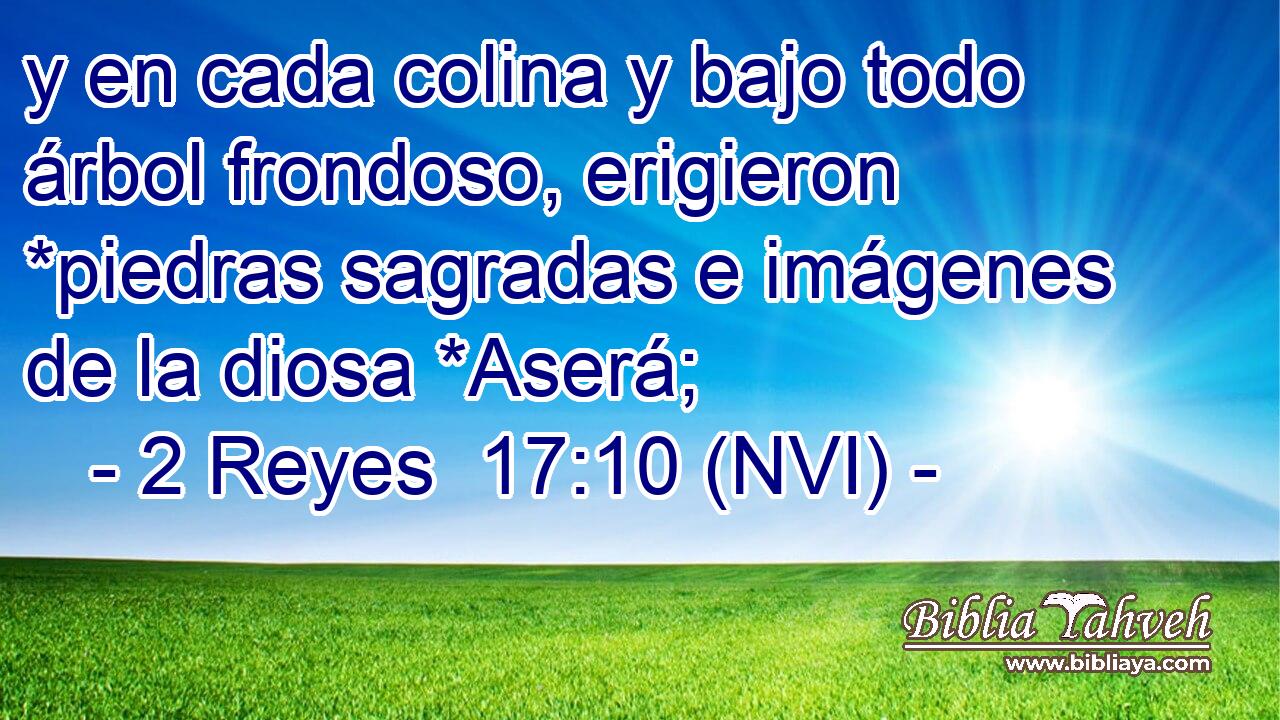  y en cada colina y bajo todo árbol frondoso, erigieron *piedras sagradas e imágenes de la diosa *Aserá; 