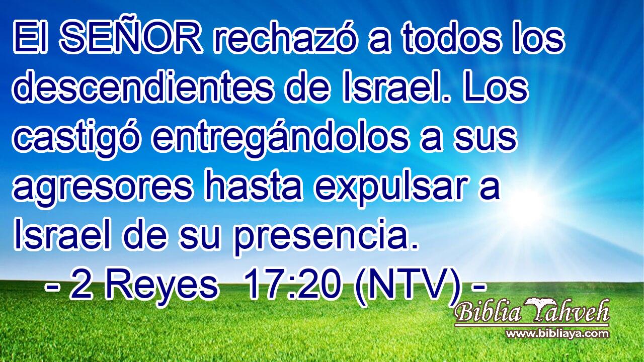 El SEÑOR rechazó a todos los descendientes de Israel. Los castigó entregándolos a sus agresores hasta expulsar a Israel de su presencia.
