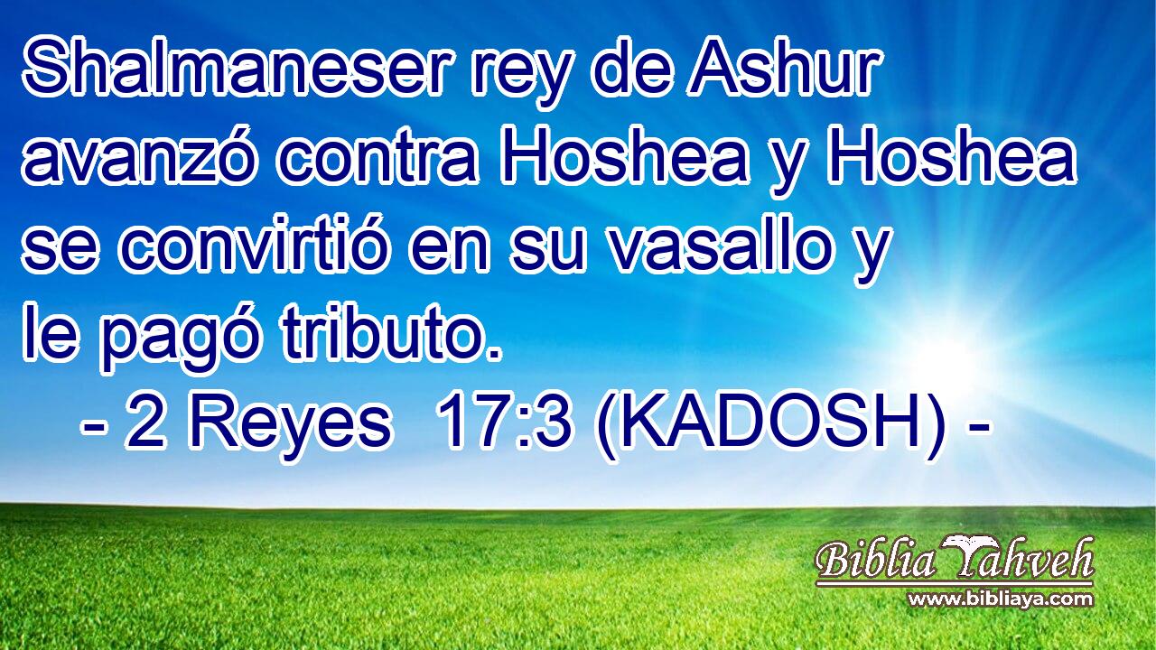  Shalmaneser rey de Ashur avanzó contra Hoshea y Hoshea se convirtió en su vasallo y le pagó tributo. 