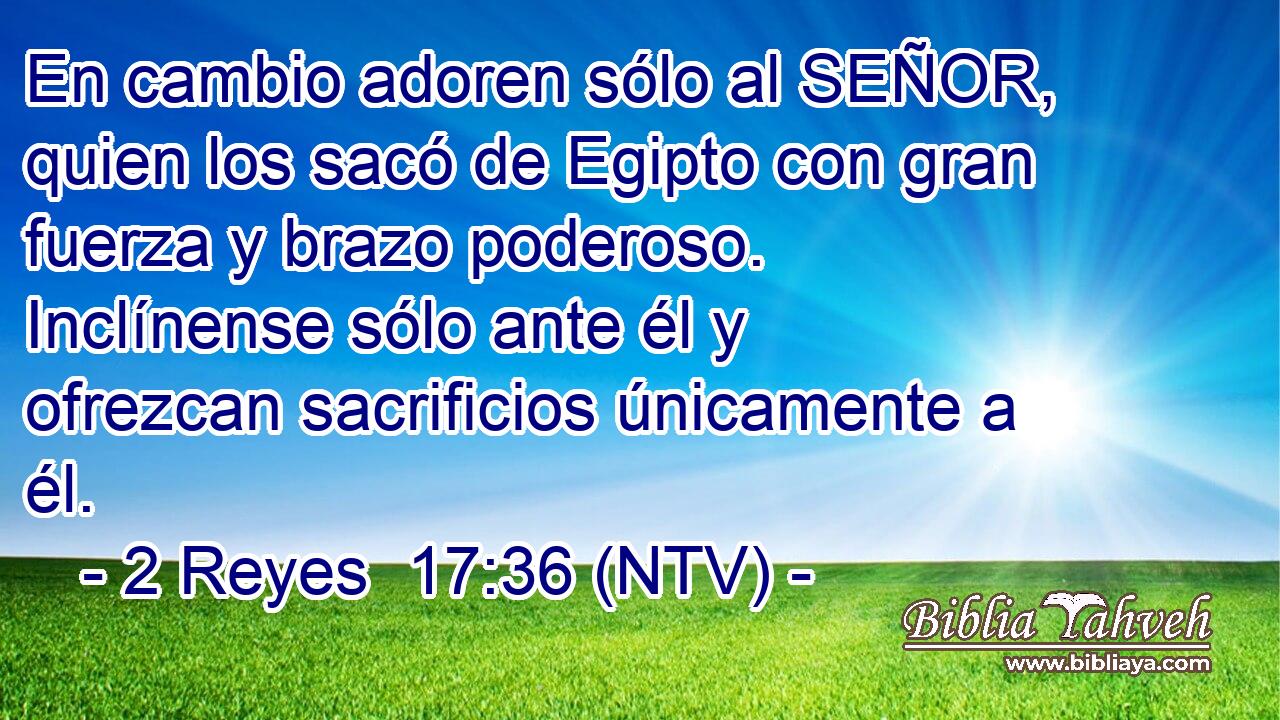 En cambio adoren sólo al SEÑOR, quien los sacó de Egipto con gran fuerza y brazo poderoso. Inclínense sólo ante él y ofrezcan sacrificios únicamente a él.