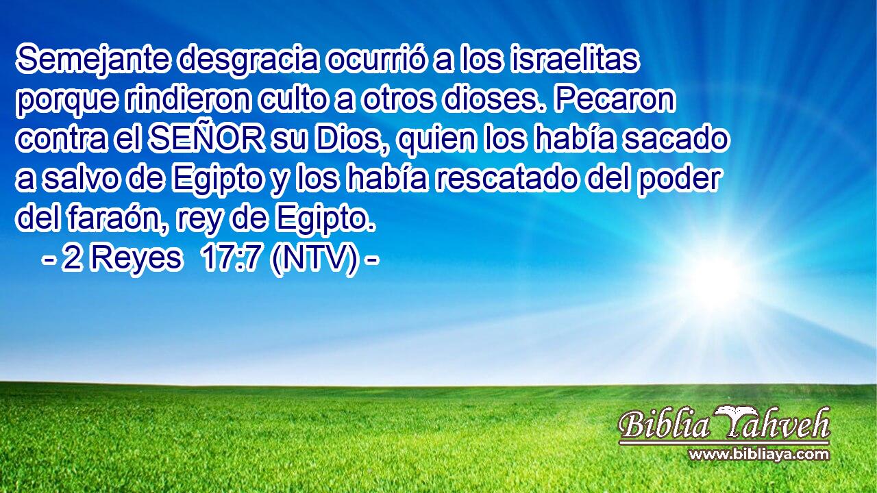 Semejante desgracia ocurrió a los israelitas porque rindieron culto a otros dioses. Pecaron contra el SEÑOR su Dios, quien los había sacado a salvo de Egipto y los había rescatado del poder del faraón, rey de Egipto.