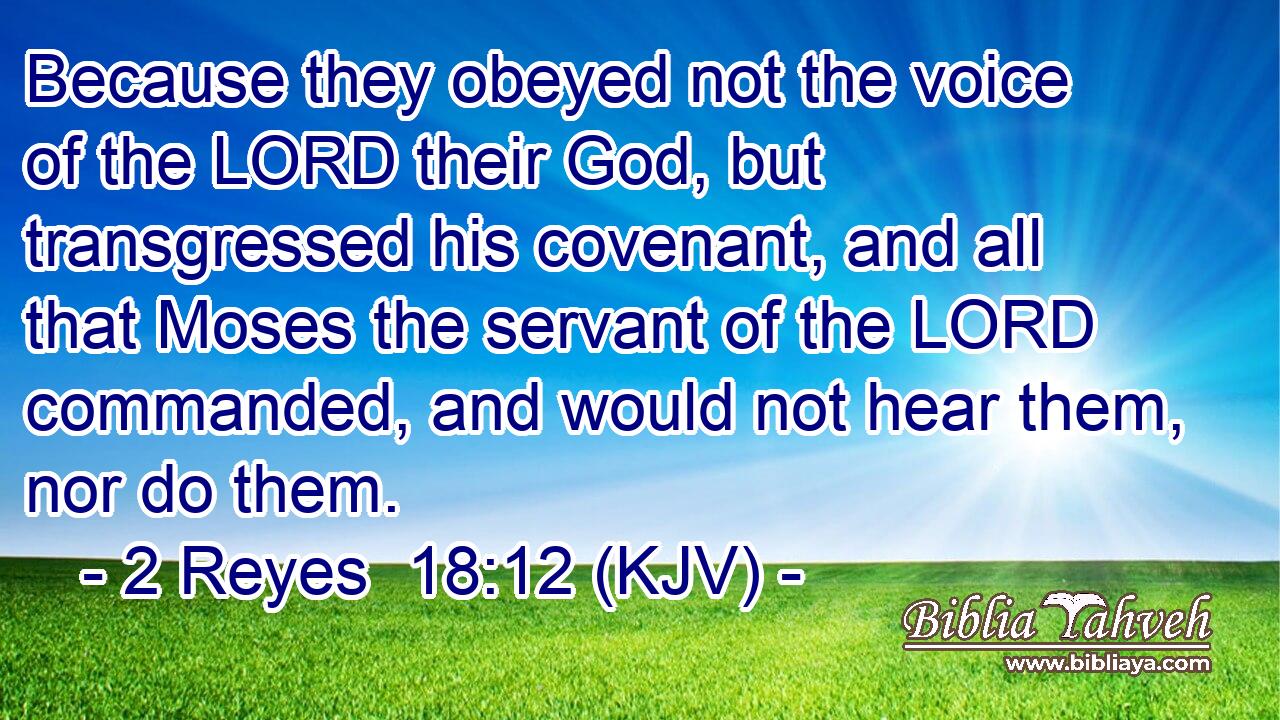 Because they obeyed not the voice of the LORD their God, but transgressed his covenant, and all that Moses the servant of the LORD commanded, and would not hear them, nor do them.
