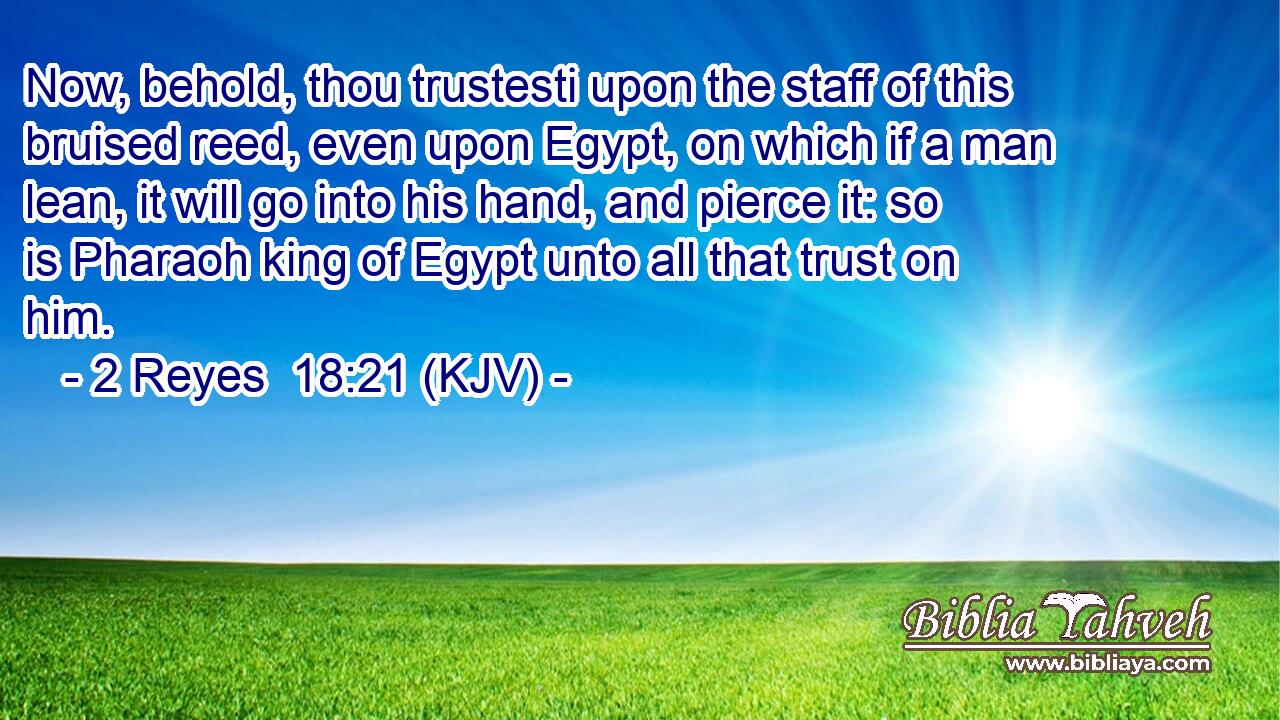 Now, behold, thou trustesti upon the staff of this bruised reed, even upon Egypt, on which if a man lean, it will go into his hand, and pierce it: so is Pharaoh king of Egypt unto all that trust on him.