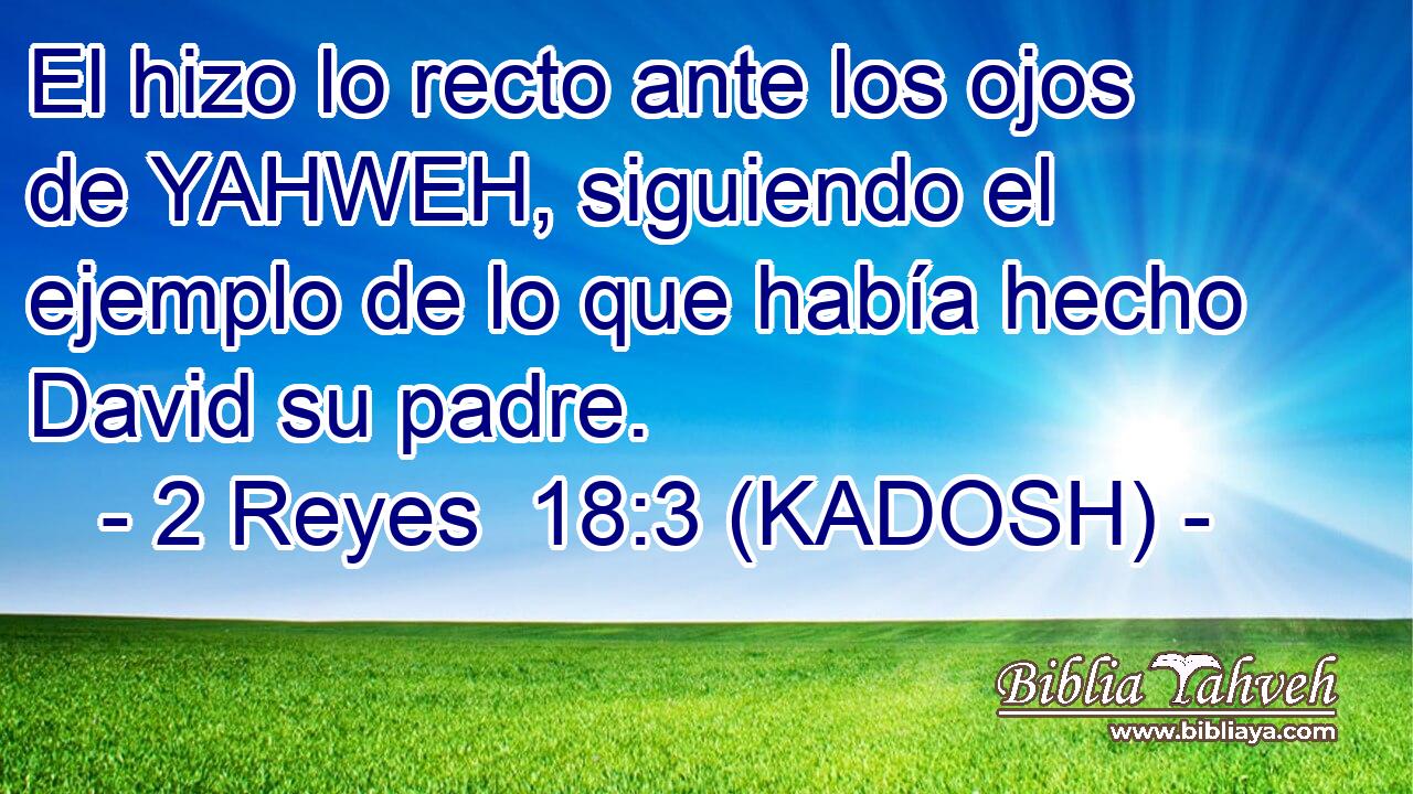  El hizo lo recto ante los ojos de YAHWEH, siguiendo el ejemplo de lo que había hecho David su padre. 