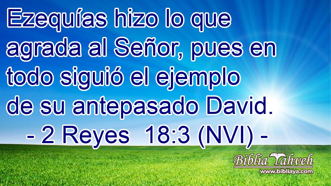  Ezequías hizo lo que agrada al Señor, pues en todo siguió el ejemplo de su antepasado David. 