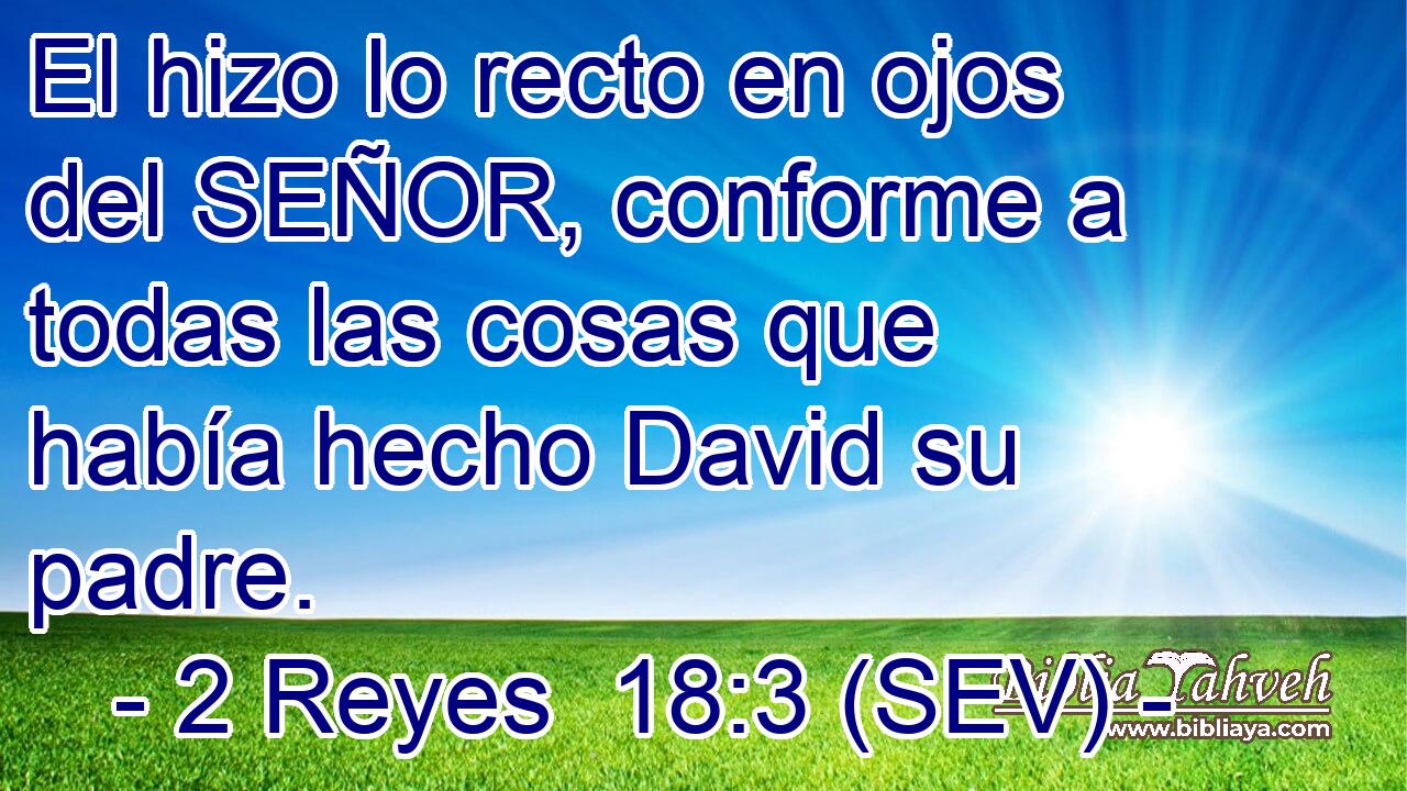 El hizo lo recto en ojos del SEÑOR, conforme a todas las cosas que había hecho David su padre.