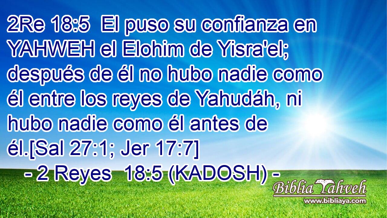  El puso su confianza en YAHWEH el Elohim de Yisra'el; después de él no hubo nadie como él entre los reyes de Yahudáh, ni hubo nadie como él antes de él.[Sal 27:1; Jer 17:7] 