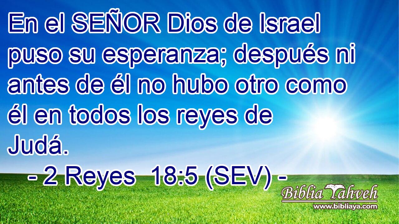 En el SEÑOR Dios de Israel puso su esperanza; después ni antes de él no hubo otro como él en todos los reyes de Judá.