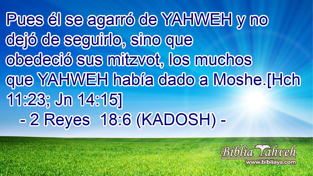  Pues él se agarró de YAHWEH y no dejó de seguirlo, sino que obedeció sus mitzvot, los muchos que YAHWEH había dado a Moshe.[Hch 11:23; Jn 14:15] 