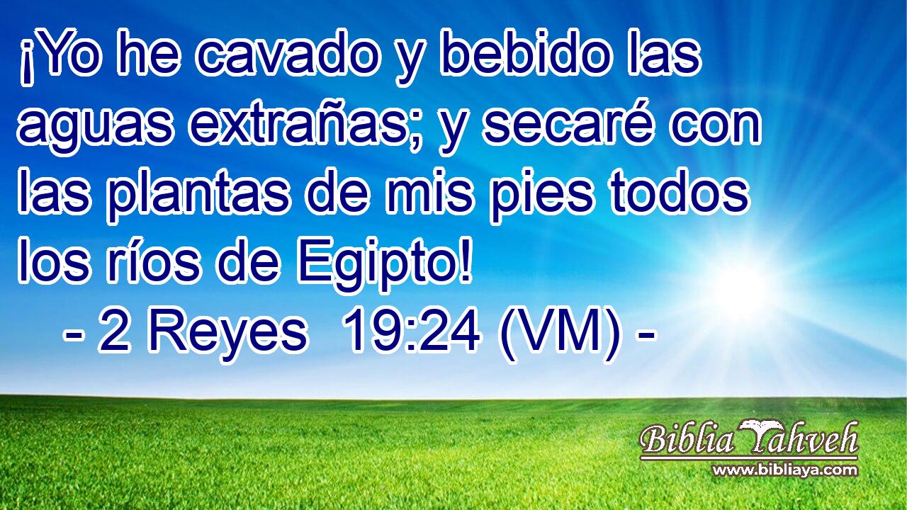  ¡Yo he cavado y bebido las aguas extrañas; y secaré con las plantas de mis pies todos los ríos de Egipto! 