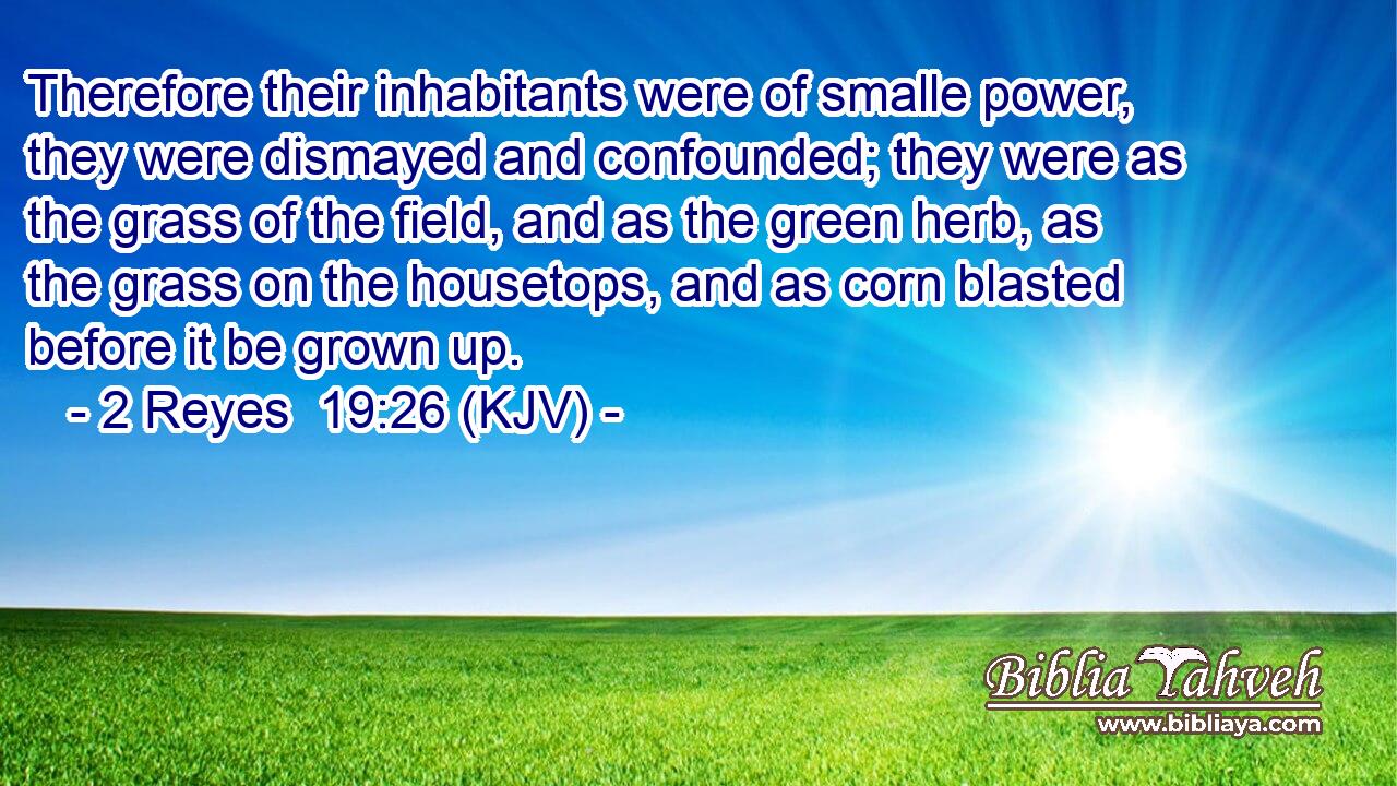 Therefore their inhabitants were of smalle power, they were dismayed and confounded; they were as the grass of the field, and as the green herb, as the grass on the housetops, and as corn blasted before it be grown up.