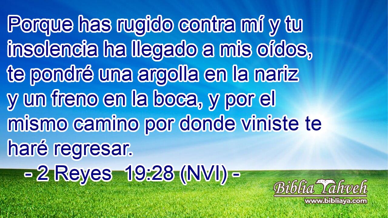  Porque has rugido contra mí y tu insolencia ha llegado a mis oídos, te pondré una argolla en la nariz y un freno en la boca, y por el mismo camino por donde viniste te haré regresar. 