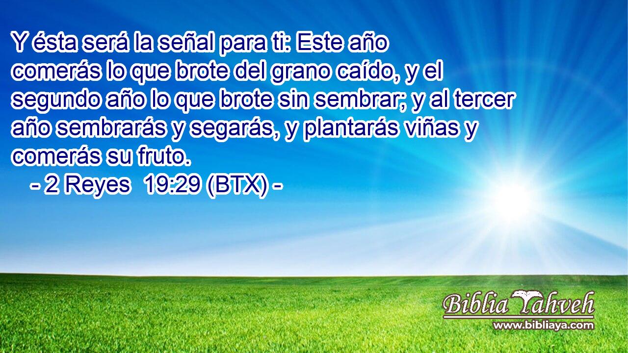 Y ésta será la señal para ti: Este año comerás lo que brote del grano caído, y el segundo año lo que brote sin sembrar; y al tercer año sembrarás y segarás, y plantarás viñas y comerás su fruto.