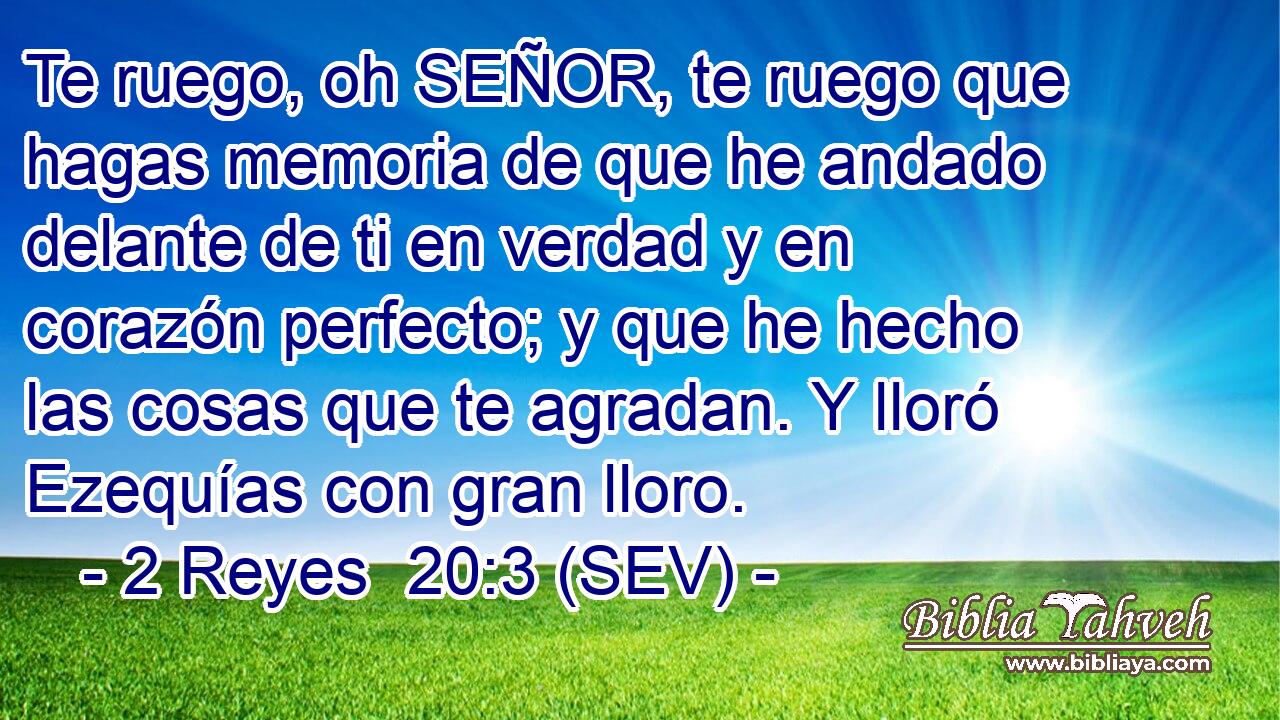 Te ruego, oh SEÑOR, te ruego que hagas memoria de que he andado delante de ti en verdad y en corazón perfecto; y que he hecho las cosas que te agradan. Y lloró Ezequías con gran lloro.
