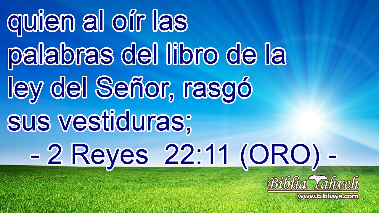  quien al oír las palabras del libro de la ley del Señor, rasgó sus vestiduras; 