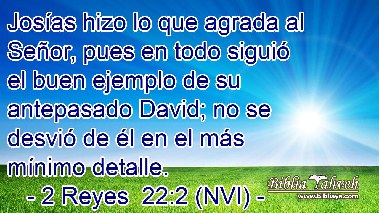 Josías hizo lo que agrada al Señor, pues en todo siguió el buen ejemplo de su antepasado David; no se desvió de él en el más mínimo detalle. 
