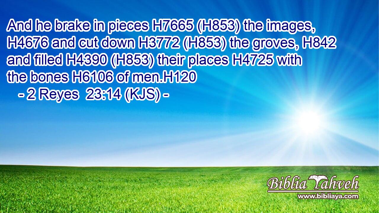 And he brake in pieces H7665 (H853) the images, H4676 and cut down H3772 (H853) the groves, H842 and filled H4390 (H853) their places H4725 with the bones H6106 of men.H120