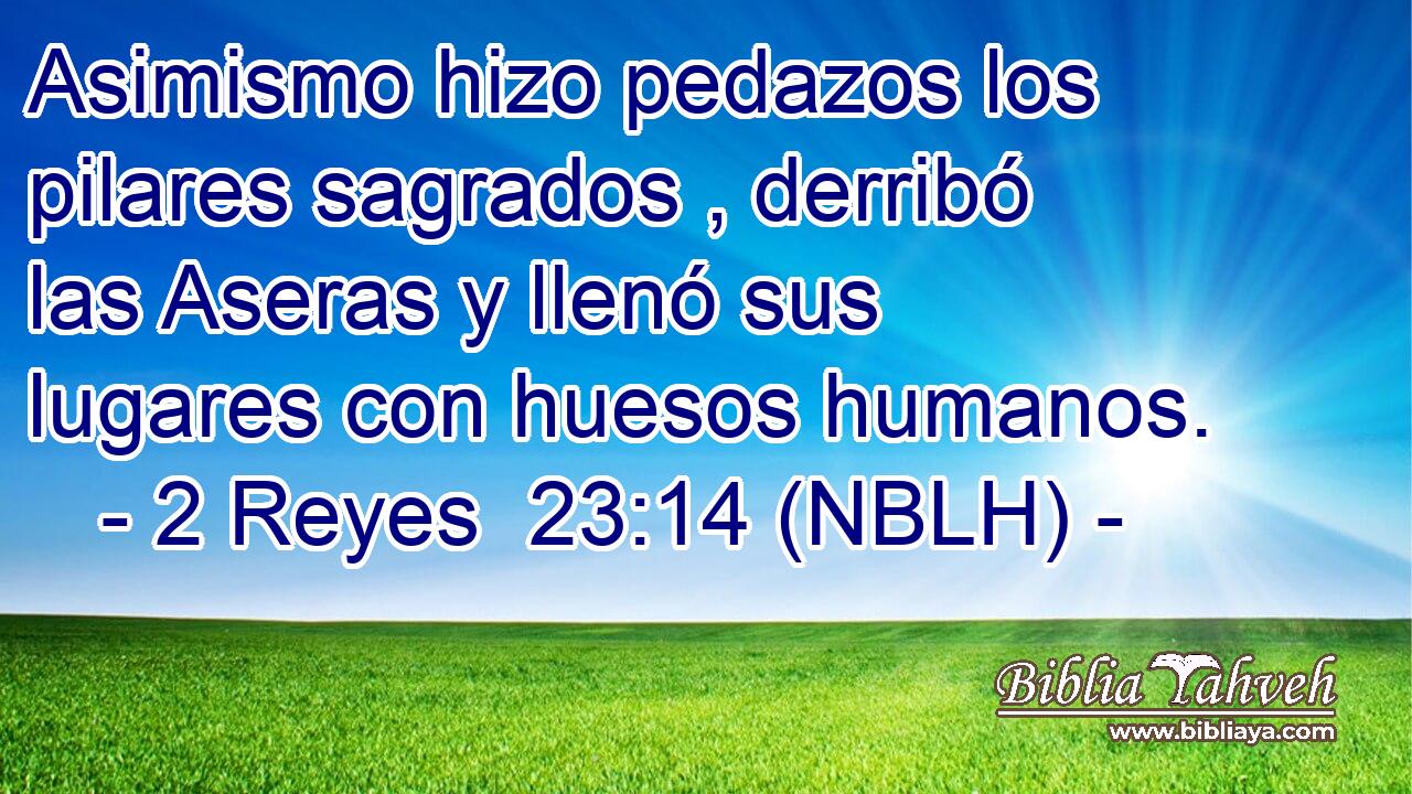  Asimismo hizo pedazos los pilares sagrados , derribó las Aseras y llenó sus lugares con huesos humanos. 