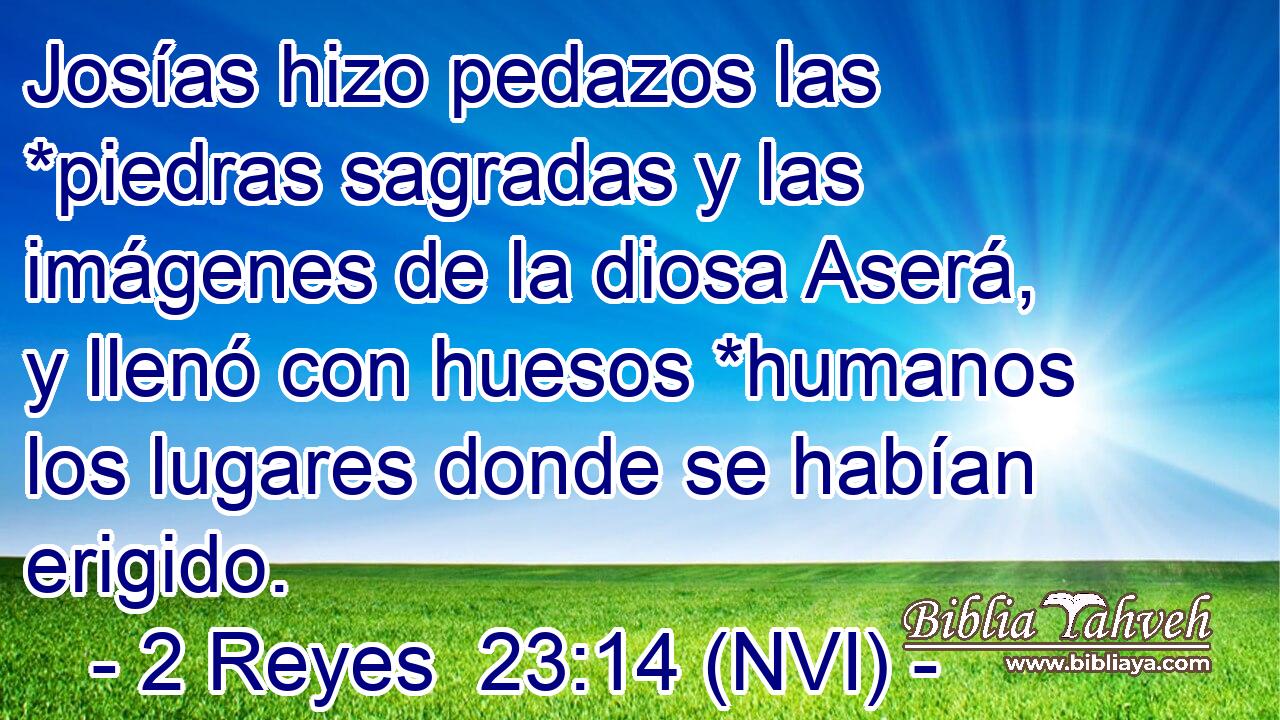  Josías hizo pedazos las *piedras sagradas y las imágenes de la diosa Aserá, y llenó con huesos *humanos los lugares donde se habían erigido. 