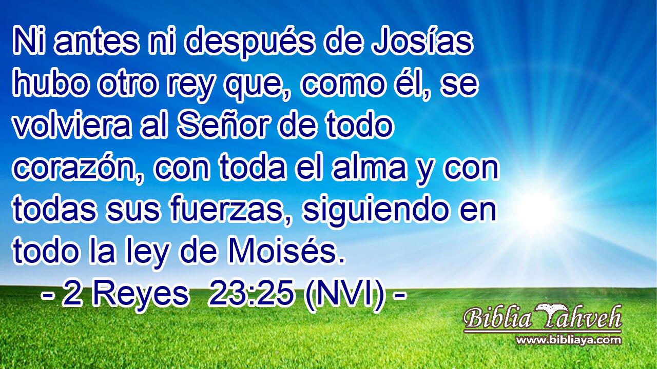  Ni antes ni después de Josías hubo otro rey que, como él, se volviera al Señor de todo corazón, con toda el alma y con todas sus fuerzas, siguiendo en todo la ley de Moisés. 