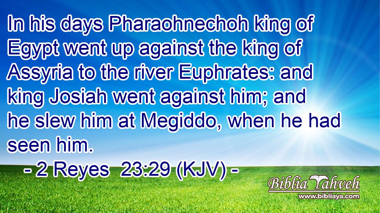 In his days Pharaohnechoh king of Egypt went up against the king of Assyria to the river Euphrates: and king Josiah went against him; and he slew him at Megiddo, when he had seen him.