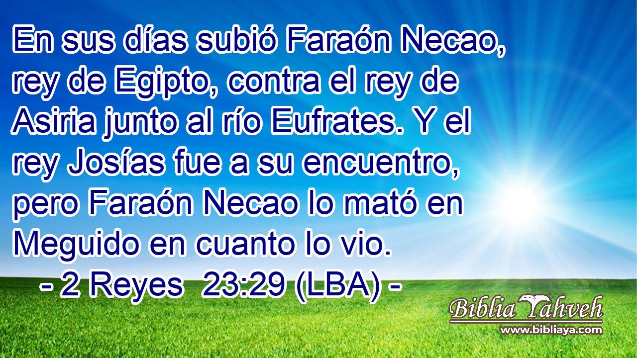 En sus días subió Faraón Necao, rey de Egipto, contra el rey de Asiria junto al río Eufrates. Y el rey Josías fue a su encuentro, pero Faraón Necao lo mató en Meguido en cuanto lo vio.