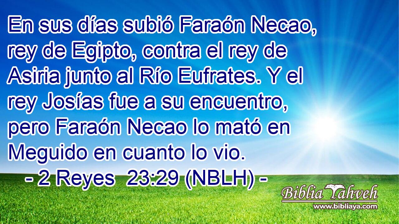  En sus días subió Faraón Necao, rey de Egipto, contra el rey de Asiria junto al Río Eufrates. Y el rey Josías fue a su encuentro, pero Faraón Necao lo mató en Meguido en cuanto lo vio. 