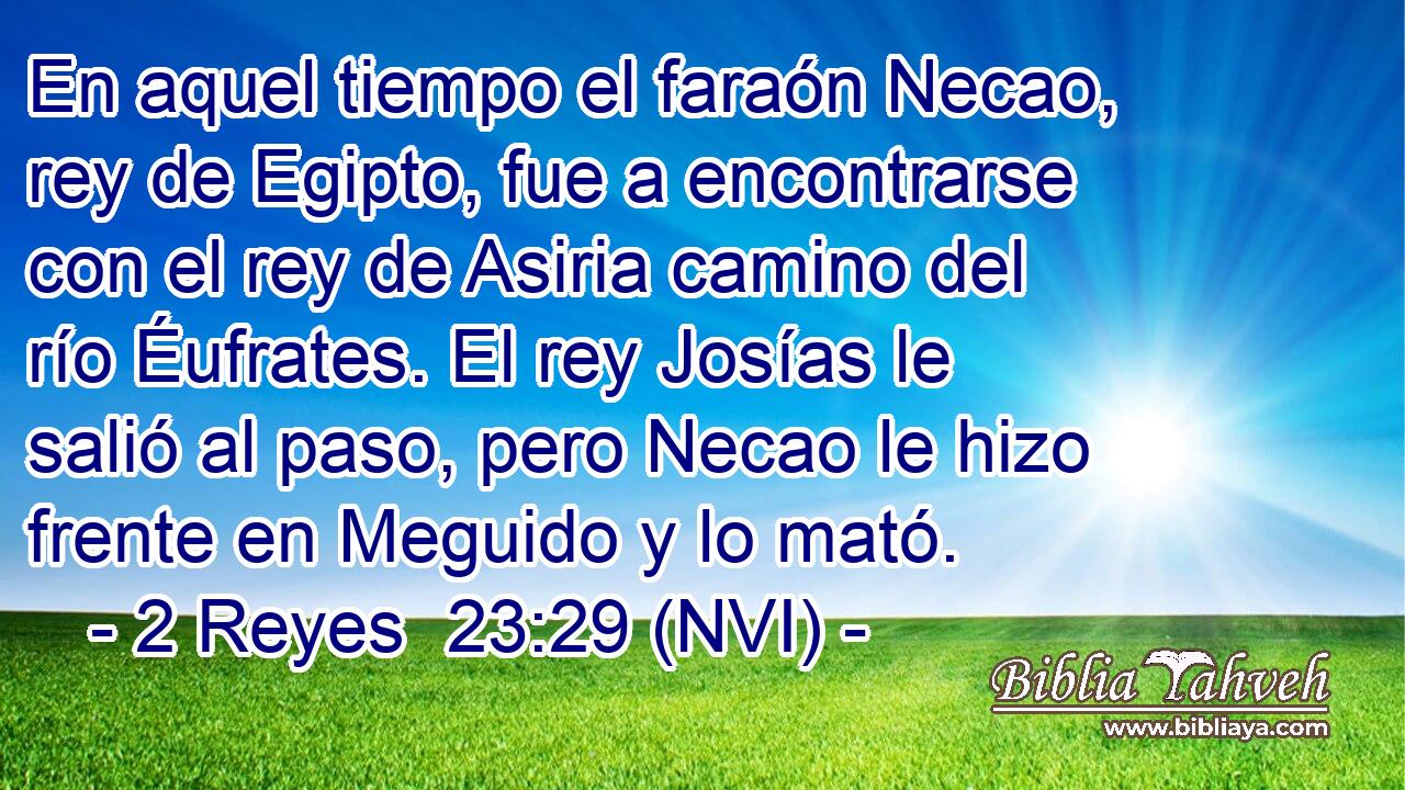  En aquel tiempo el faraón Necao, rey de Egipto, fue a encontrarse con el rey de Asiria camino del río Éufrates. El rey Josías le salió al paso, pero Necao le hizo frente en Meguido y lo mató. 