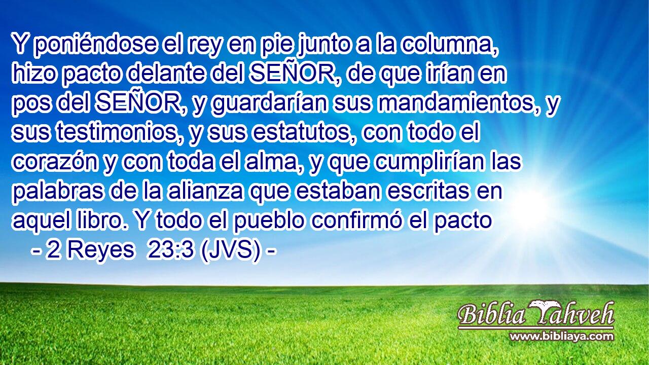 Y poniéndose el rey en pie junto a la columna, hizo pacto delante del SEÑOR, de que irían en pos del SEÑOR, y guardarían sus mandamientos, y sus testimonios, y sus estatutos, con todo el corazón y con toda el alma, y que cumplirían las palabras de la alianza que estaban escritas en aquel libro. Y todo el pueblo confirmó el pacto