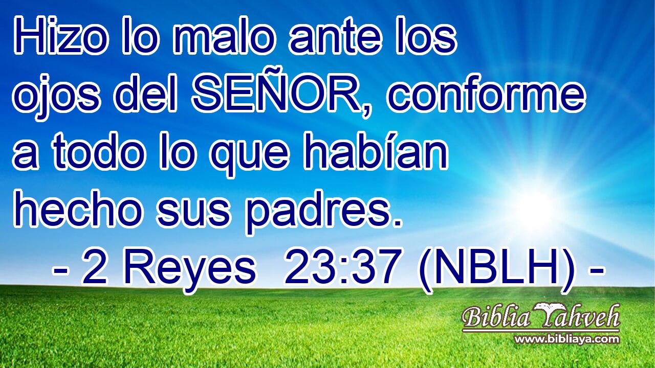  Hizo lo malo ante los ojos del SEÑOR, conforme a todo lo que habían hecho sus padres. 