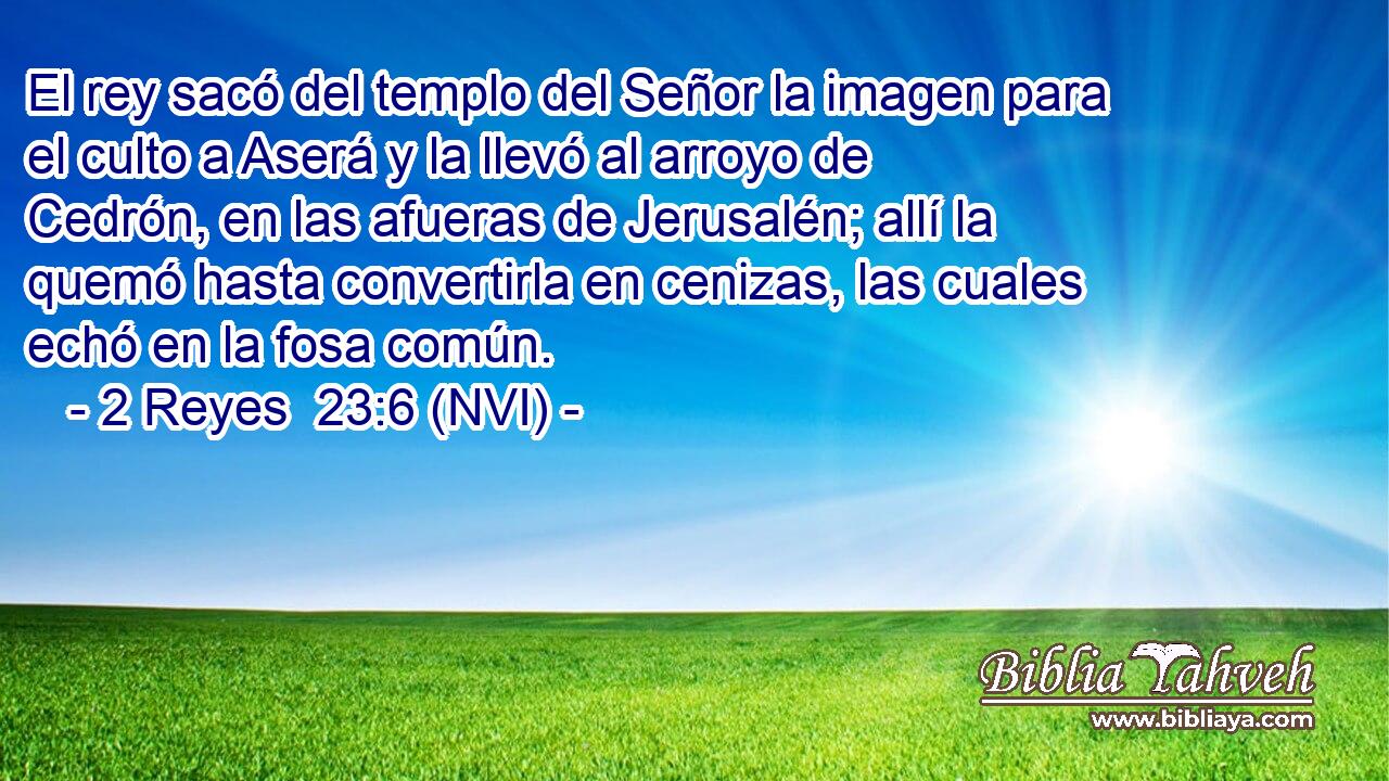  El rey sacó del templo del Señor la imagen para el culto a Aserá y la llevó al arroyo de Cedrón, en las afueras de Jerusalén; allí la quemó hasta convertirla en cenizas, las cuales echó en la fosa común. 