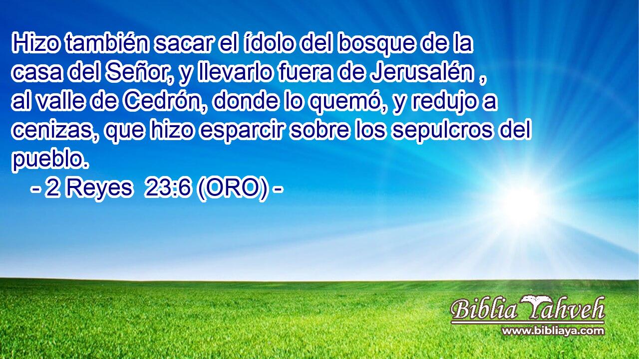  Hizo también sacar el ídolo del bosque de la casa del Señor, y llevarlo fuera de Jerusalén , al valle de Cedrón, donde lo quemó, y redujo a cenizas, que hizo esparcir sobre los sepulcros del pueblo. 