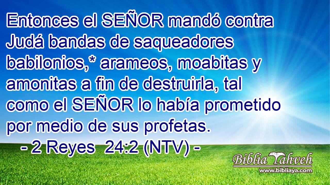 Entonces el SEÑOR mandó contra Judá bandas de saqueadores babilonios,* arameos, moabitas y amonitas a fin de destruirla, tal como el SEÑOR lo había prometido por medio de sus profetas.