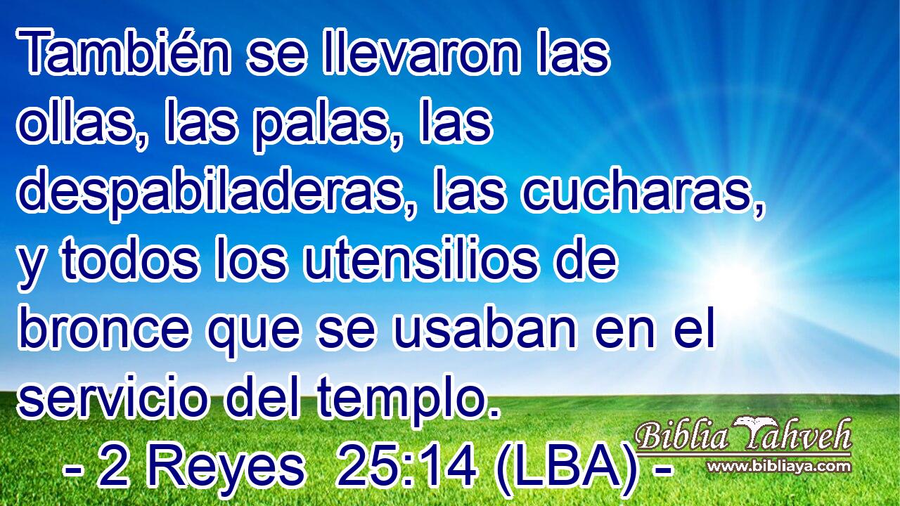 También se llevaron las ollas, las palas, las despabiladeras, las cucharas, y todos los utensilios de bronce que se usaban en el servicio del templo.