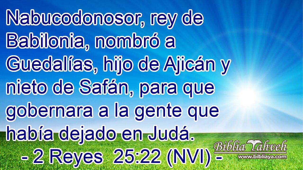  Nabucodonosor, rey de Babilonia, nombró a Guedalías, hijo de Ajicán y nieto de Safán, para que gobernara a la gente que había dejado en Judá. 